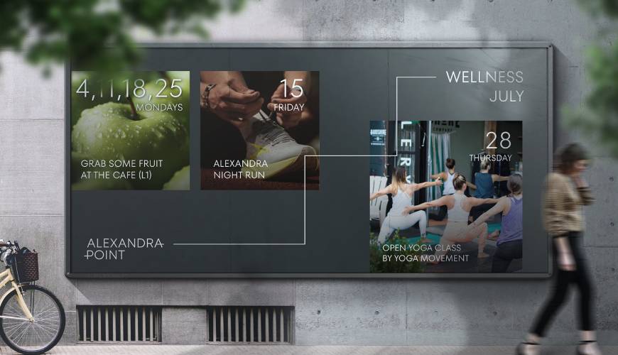 柏乡县画册设计公司如何进行品牌审核