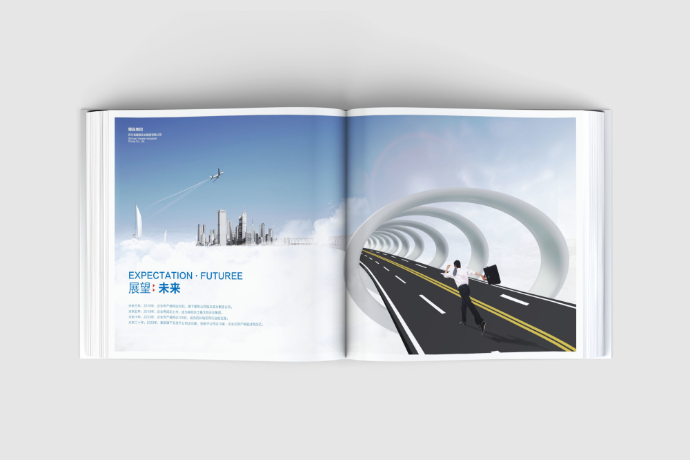 柏乡县画册设计